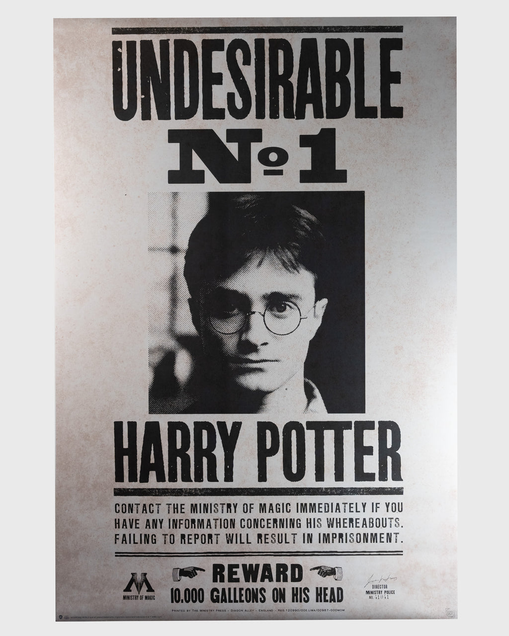 Harry Potter (2010) – "Poszukiwany" | Plakat Filmowy 90x60 cm