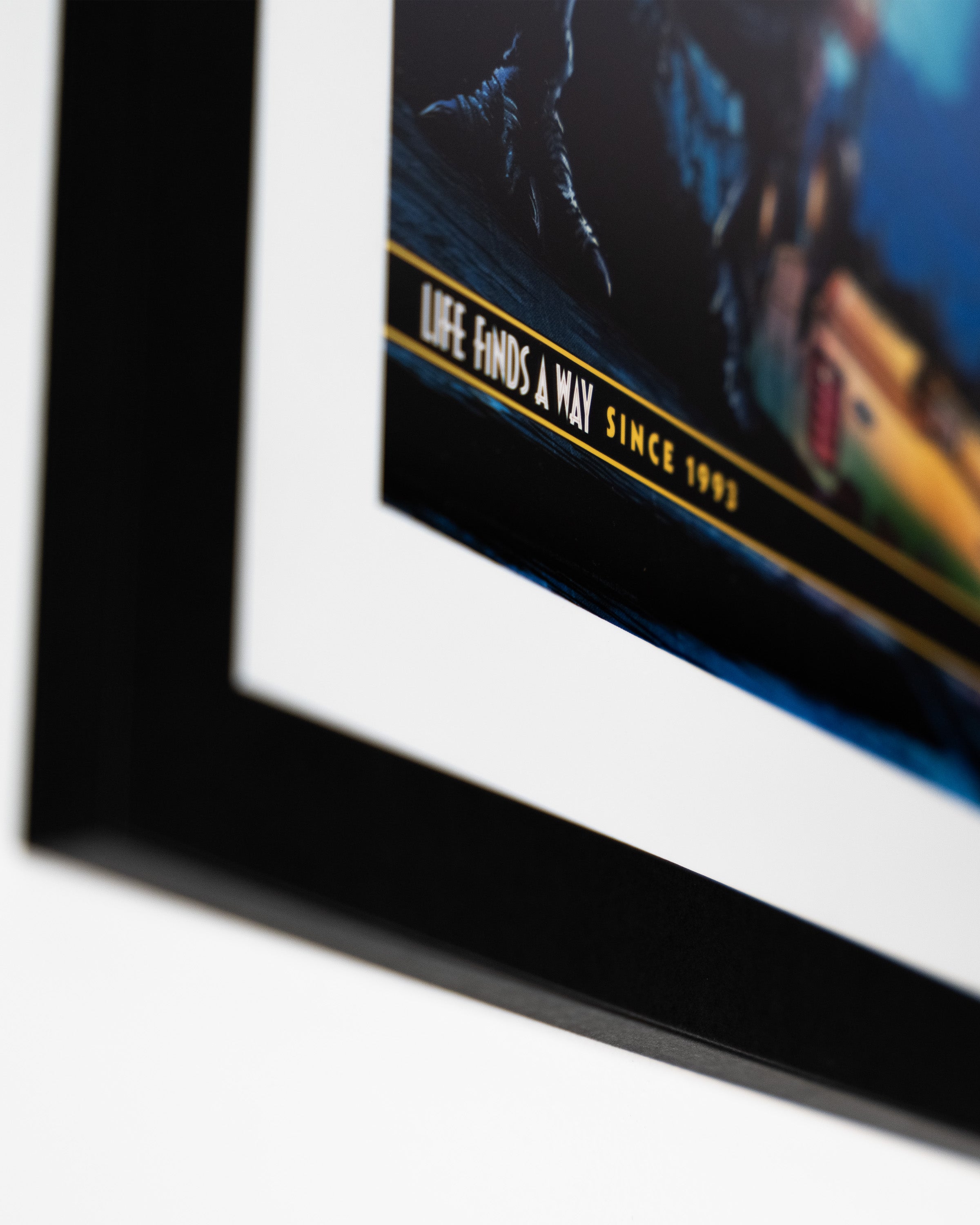 Detal plakatu Jurassic Park w czarnej ramie – napis Life Finds a Way Since 1993