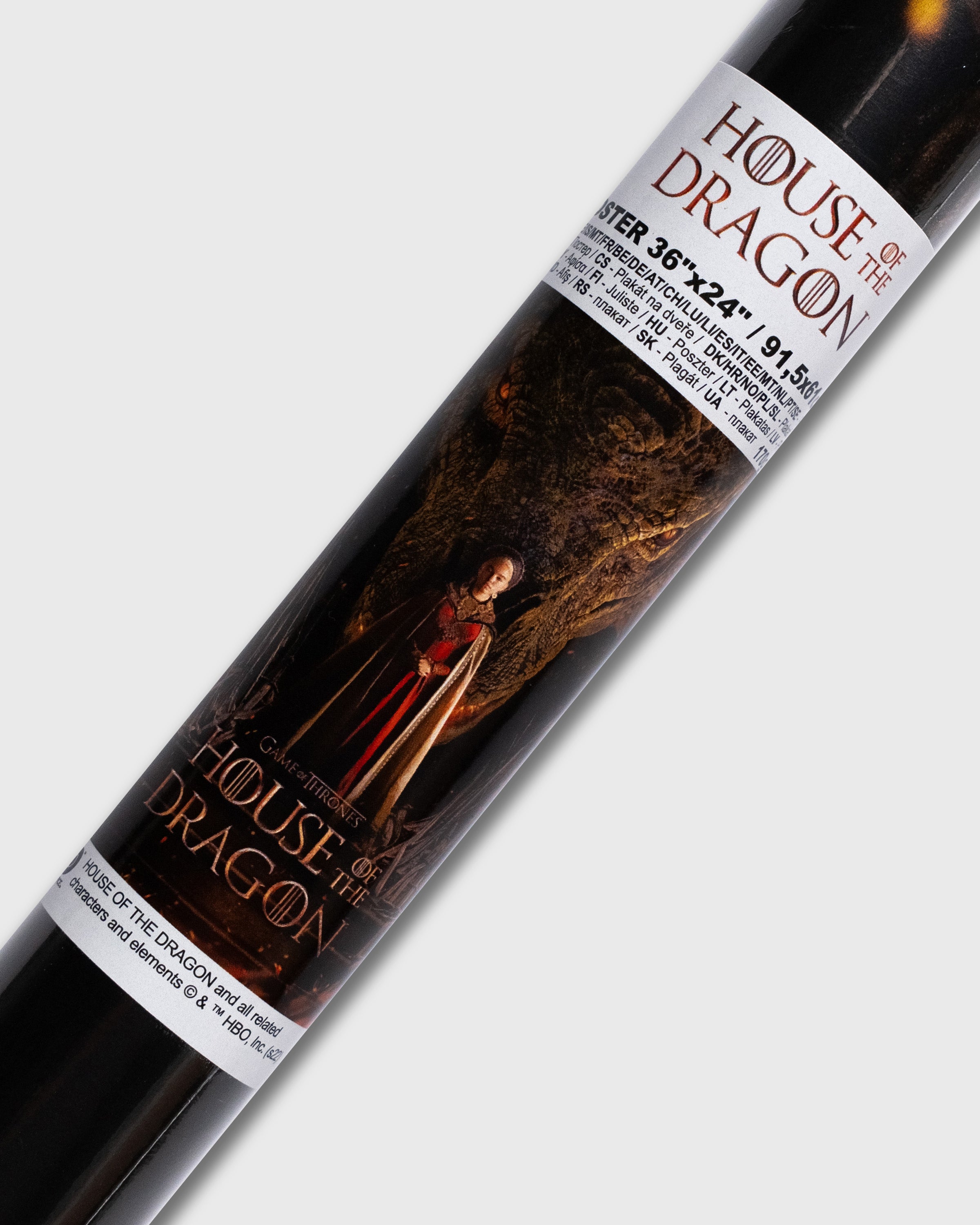 Ród Smoka (2022) – "Targaryen i smok" | Plakat Filmowy 90x60 cm