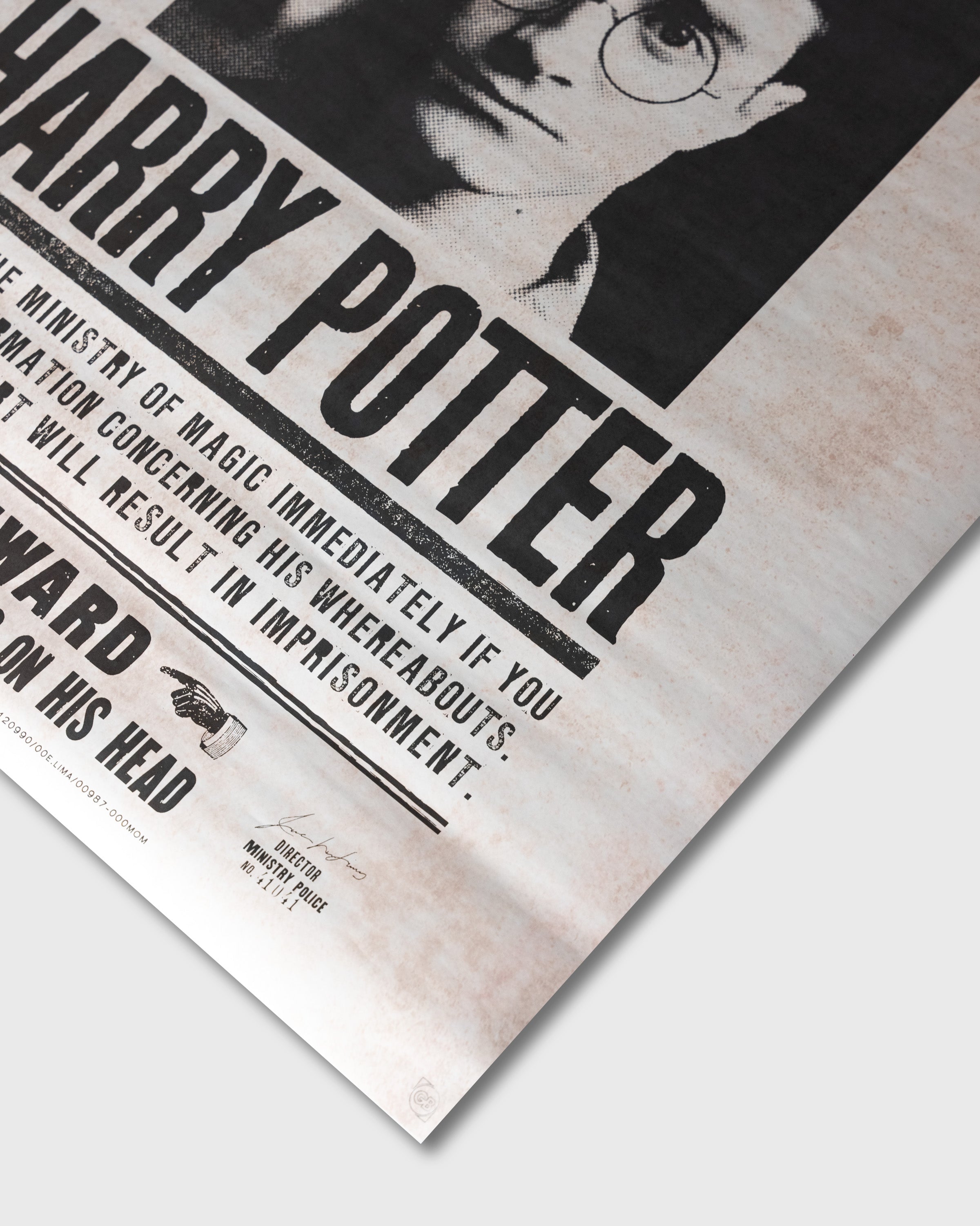 Harry Potter (2010) – "Poszukiwany" | Plakat Filmowy 90x60 cm
