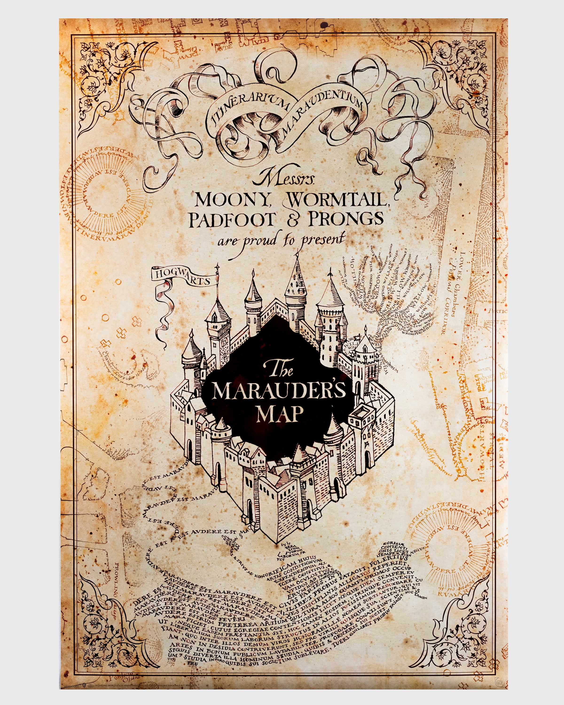Harry Potter (2004) – "Mapa Huncwotów" | Plakat Filmowy 90x60 cm